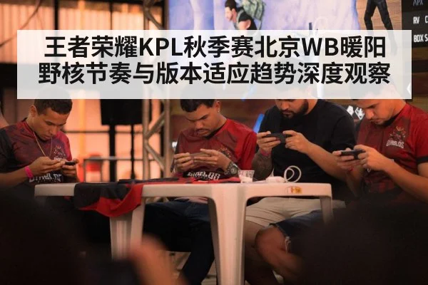 王者荣耀KPL秋季赛北京WB暖阳野核节奏与版本适应趋势深度观察 | NG28